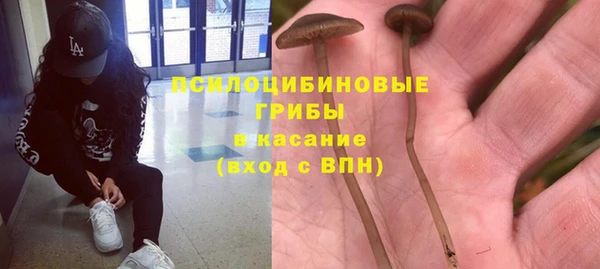 бошки Армянск