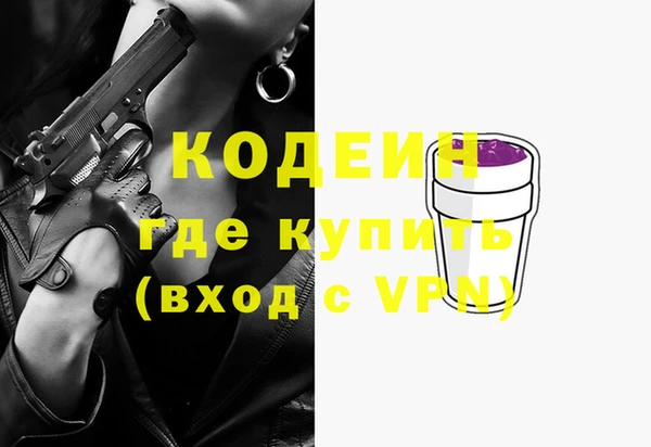 гашик Аркадак