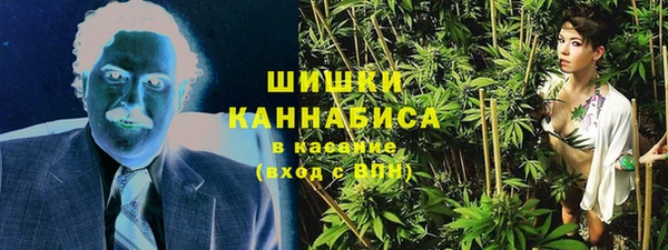 гашик Аркадак