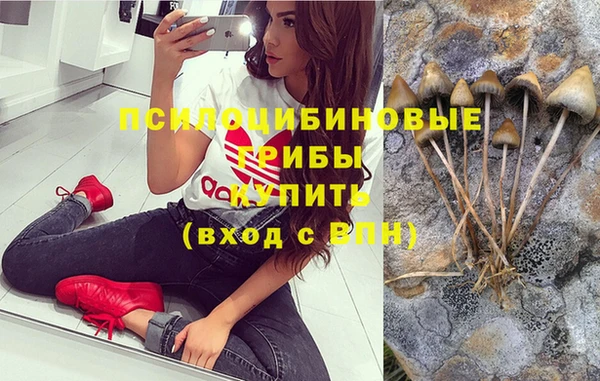 бошки Армянск