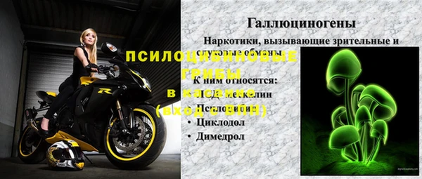 индика Карпинск