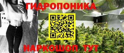 ECSTASY Шелехов