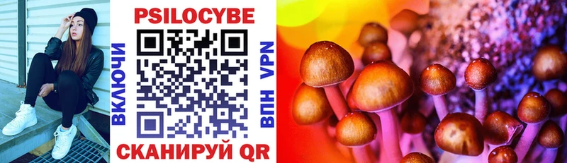 Галлюциногенные грибы Psilocybine cubensis  закладка  маркетплейс Telegram  Заинск 