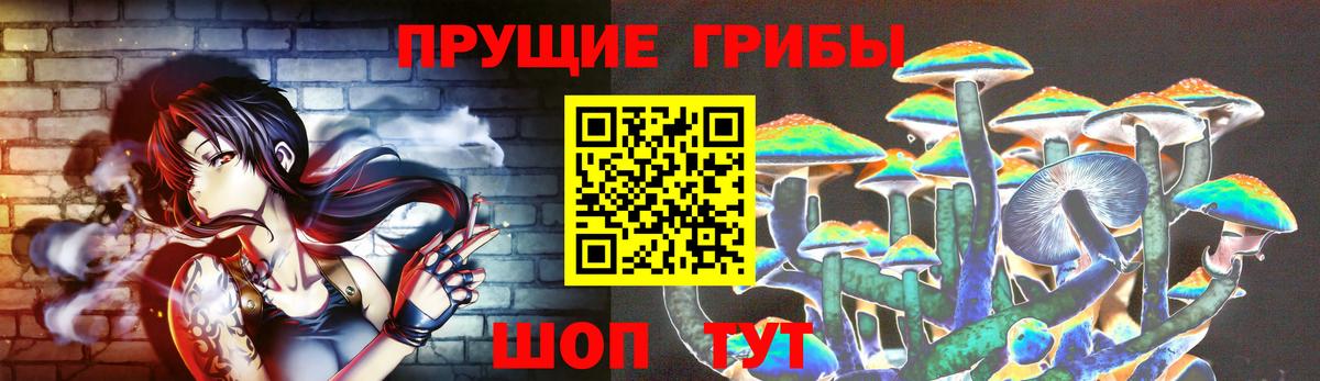 Заинск  как найти закладки  Вход с VPN  Галлюциногенные грибы Magic Shrooms 