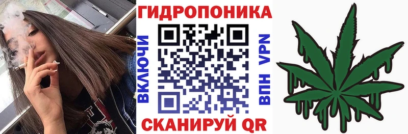 Бошки марихуана White Widow Заинск