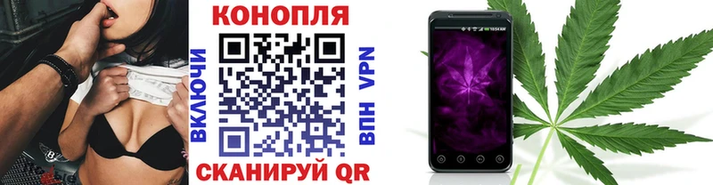 Марихуана семена  купить   Заинск 